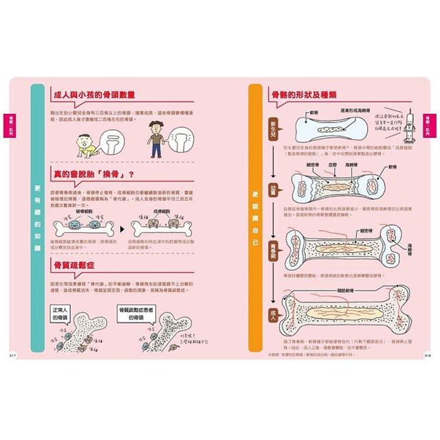 最有梗的人體教室：針筒兄弟與他們的器官小夥伴